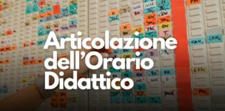 Articolazione dellorario didattico