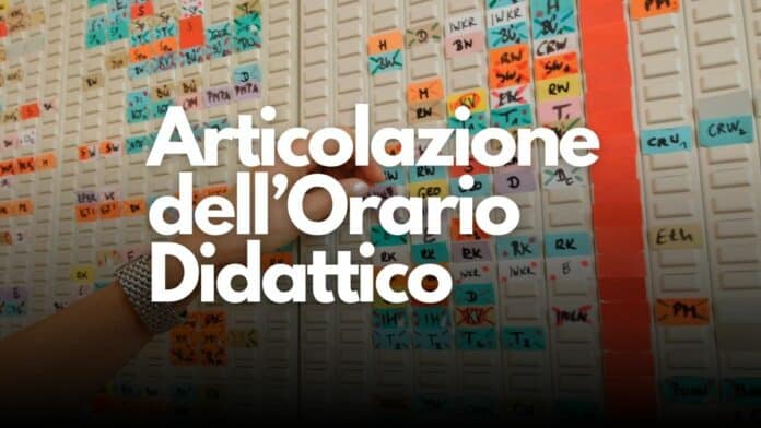 Articolazione dellorario didattico