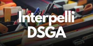 Interpelli DSGA