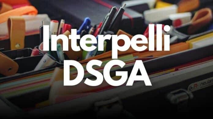 Interpelli DSGA