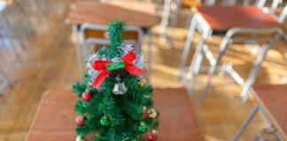 Albero di Natale tra i banchi scolastici