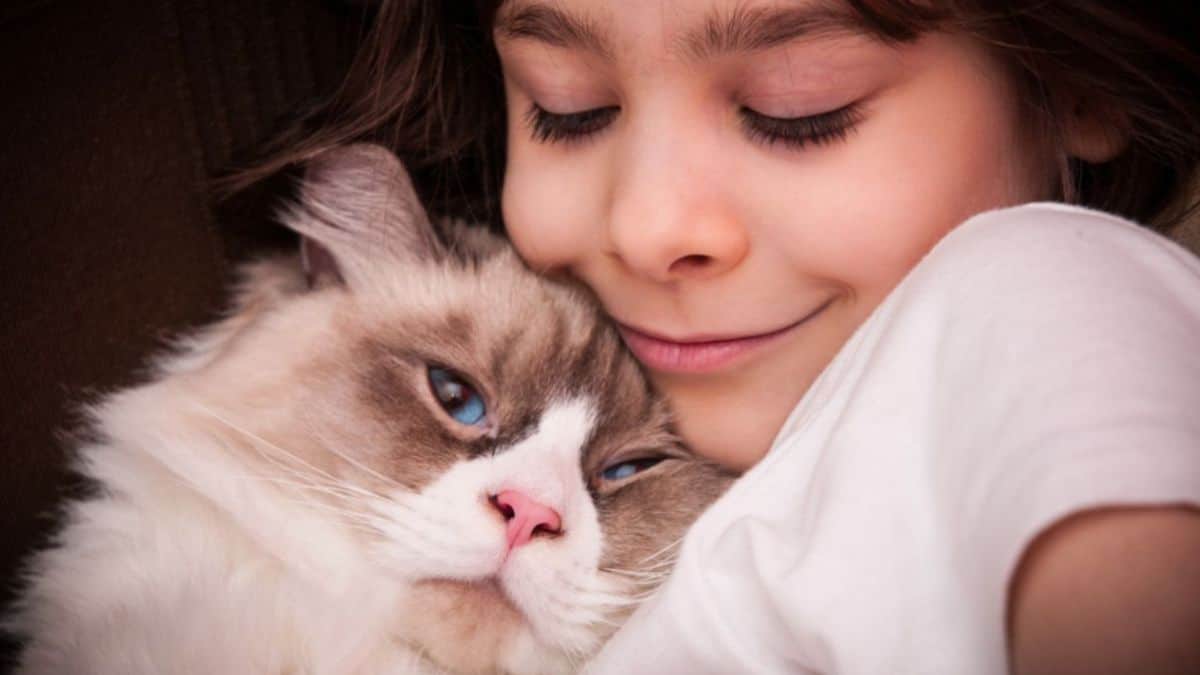 Pet Therapy con i gatti in ospedale: un aiuto concreto ai piccoli pazienti