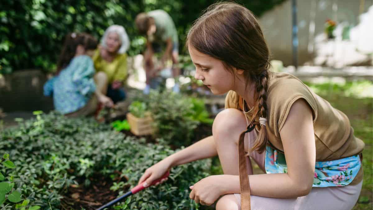 Scuola e sostenibilità: come le aule stanno diventando più verdi per il futuro del pianeta