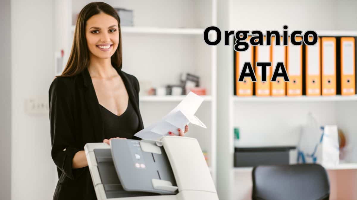 Organico ATA: tagli in arrivo per 2.174 unità e nuove figure professionali