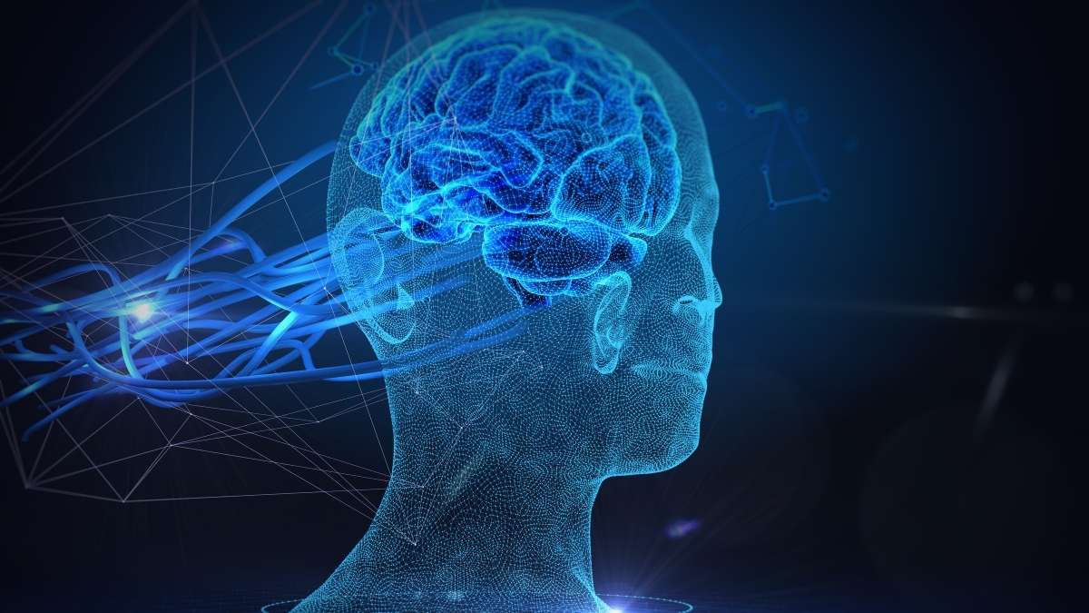 Il secondo convegno ANP: neuroscienze e didattica per una nuova educazione