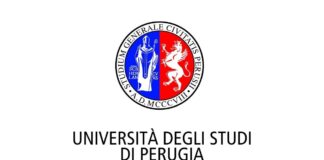 Università degli studi di Perugia